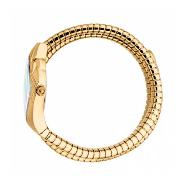 Just Cavalli JC1L307M0025